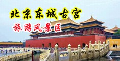 大吊日小美女免费视频中国北京-东城古宫旅游风景区
